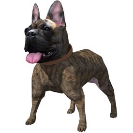 Bulldog - free Artlantis object
