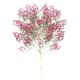 Apple Tree 3D Object | FREE Artlantis Objects Download