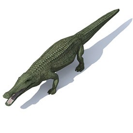 Crocodile 3D Object | FREE Artlantis Objects Download