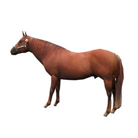 Horse 3D Object | FREE Artlantis Objects Download