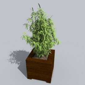 Bamboo - free Artlantis object