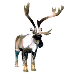 Reindeer 3D Object | FREE Artlantis Objects Download
