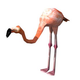 Flamingo 3D Object | FREE Artlantis Objects Download