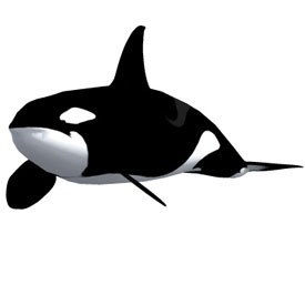 Whale 3D Object | FREE Artlantis Objects Download