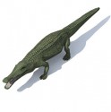 Crocodile