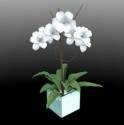 decoration flower