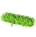 Vegetation - higrass