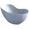 Future bathtub