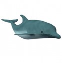 Dolphin