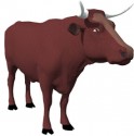 OX
