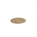 carpet 01
