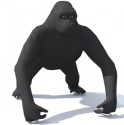Gorilla