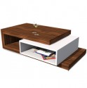 Modern coffee table