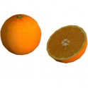 Oranges