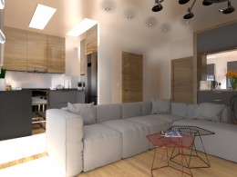 Render by Olga